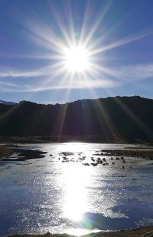 Photo medium P1030849 rognée